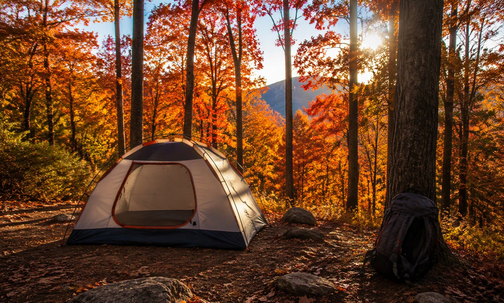 Tent pitched in a colorful autumn forest campsite - using camping gear across different seasons