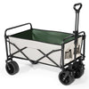 Finvizo wagon cart studio view - review